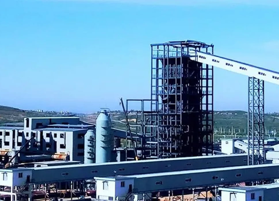 Biomass Plant